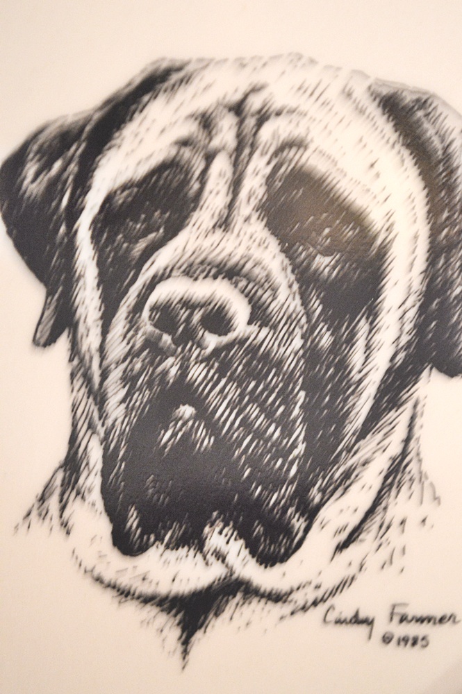 Assortment of Useful Kitchen Items