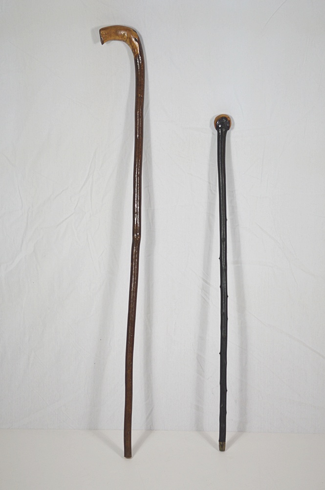 Walking Sticks