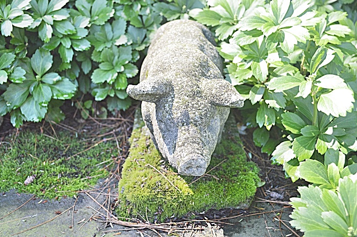 Antique Cast Stone Garden Pig