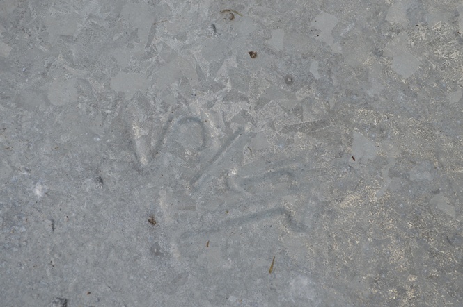 Galvenized Tin Barrel