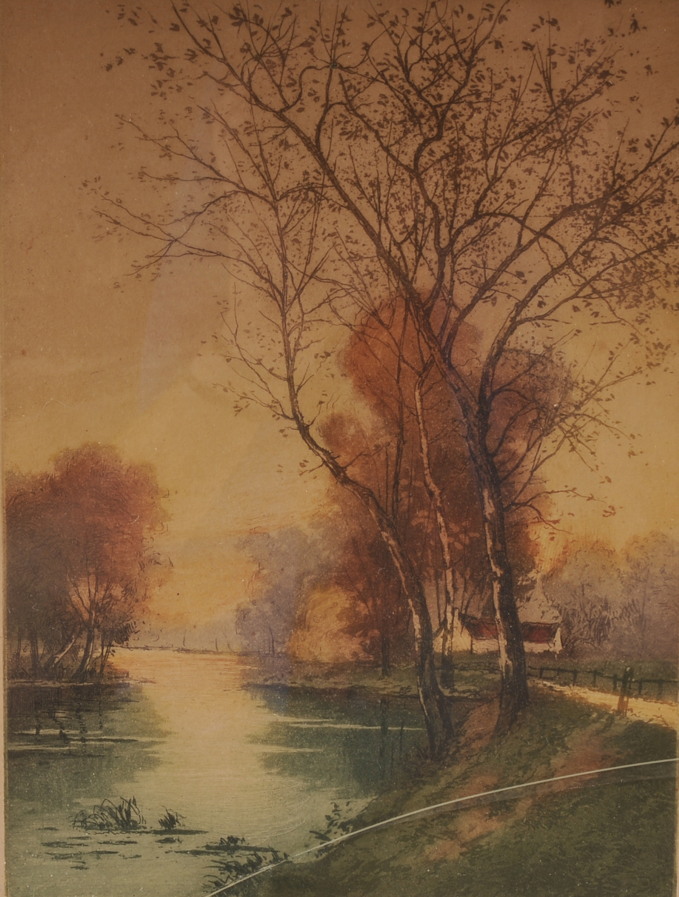 Signed Vintage Print of Tree at the Edge of a River
