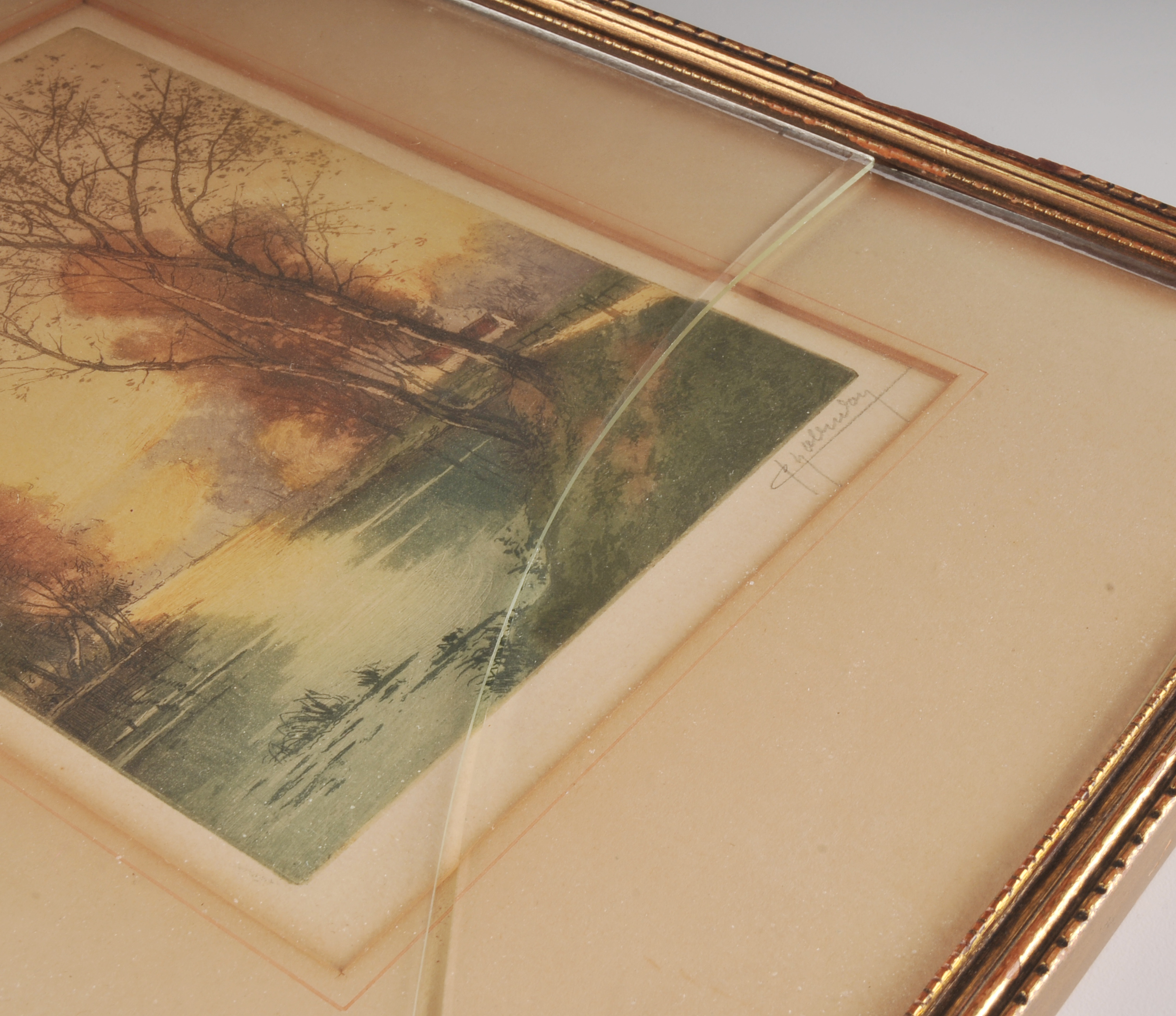 Signed Vintage Print of Tree at the Edge of a River