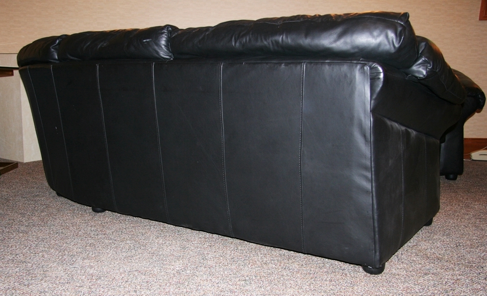 Sealy Leather Sectional