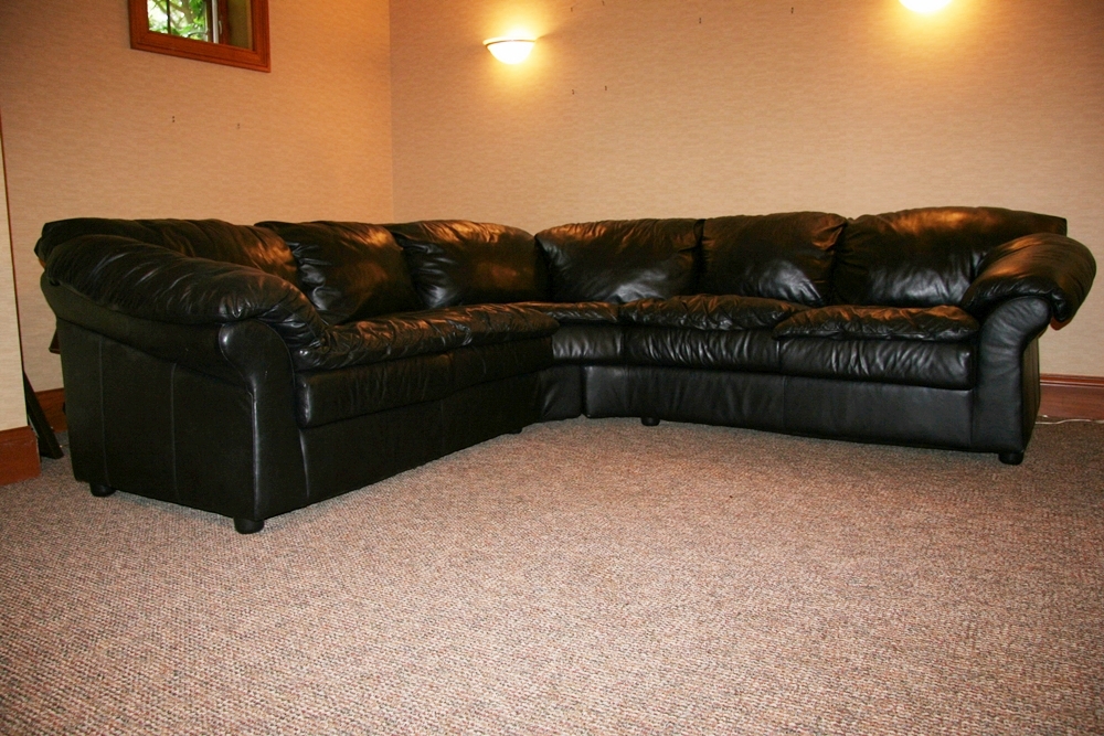 Sealy Leather Sectional