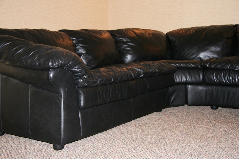 Sealy Leather Sectional