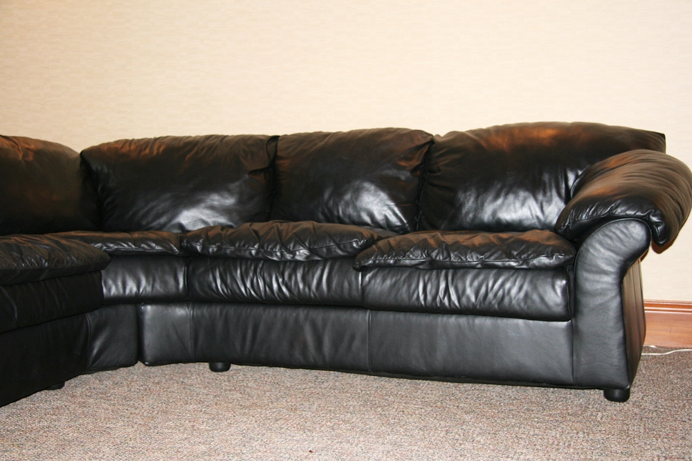 Sealy Leather Sectional