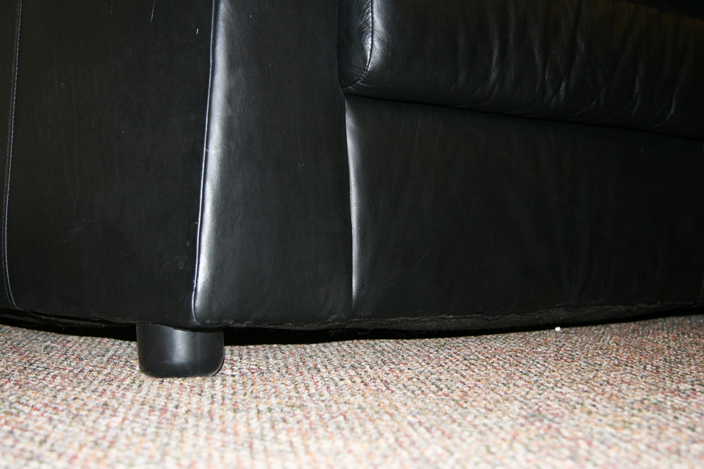 Sealy Leather Sectional