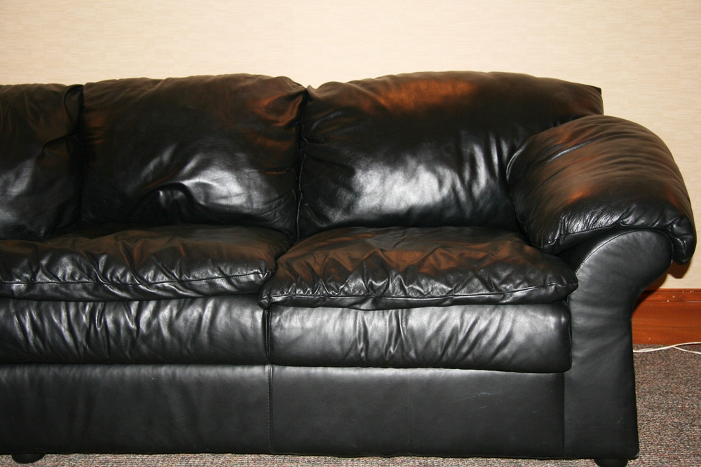 Sealy Leather Sectional