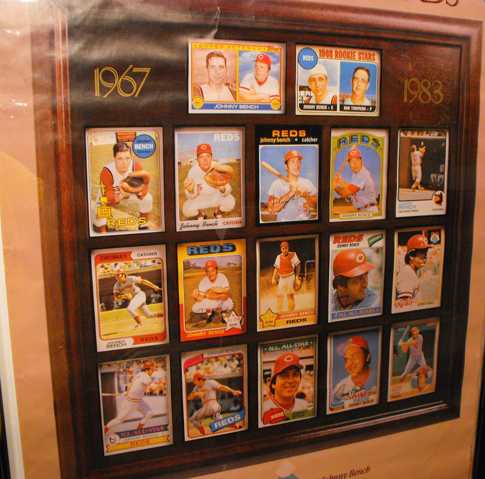 1989 Framed HOF Johnny Bench "IT WAS IN THE CARDS" Cincinnati Reds Poster