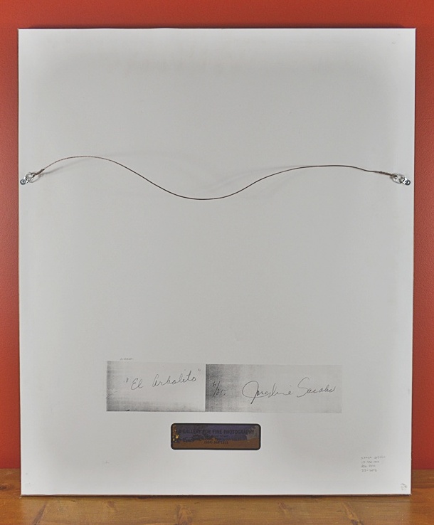 Josephine Sacabo Framed and Signed Photography "El Arbolito"