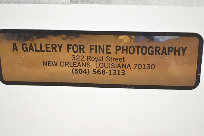 Josephine Sacabo Framed and Signed Photography "El Arbolito"