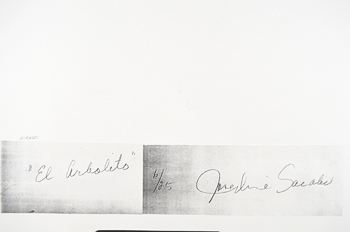 Josephine Sacabo Framed and Signed Photography "El Arbolito"