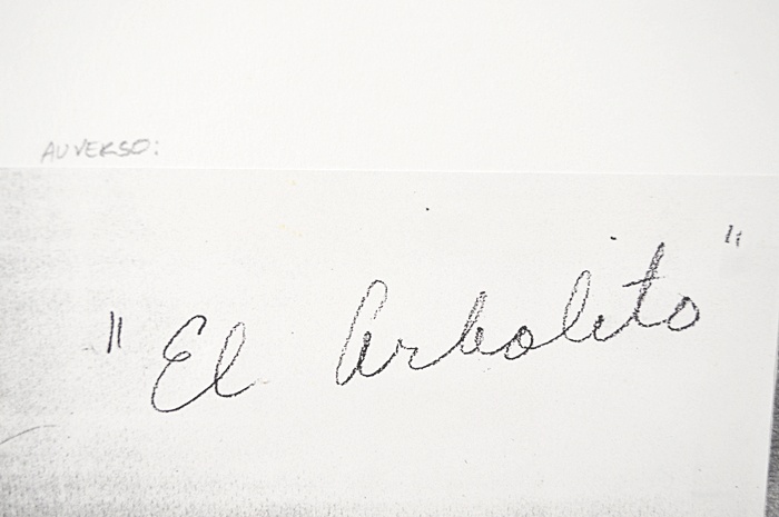 Josephine Sacabo Framed and Signed Photography "El Arbolito"