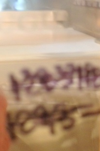 Lillian August Large Silver Studded Wall Mirror