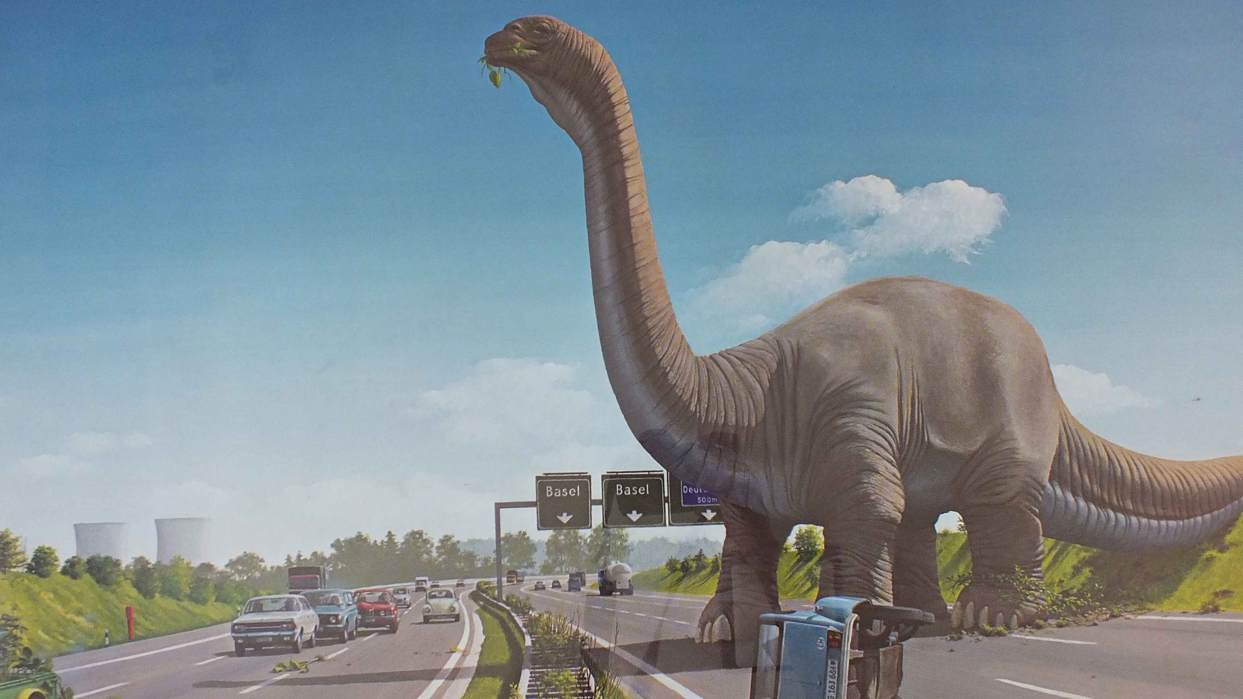 Nature Company Print