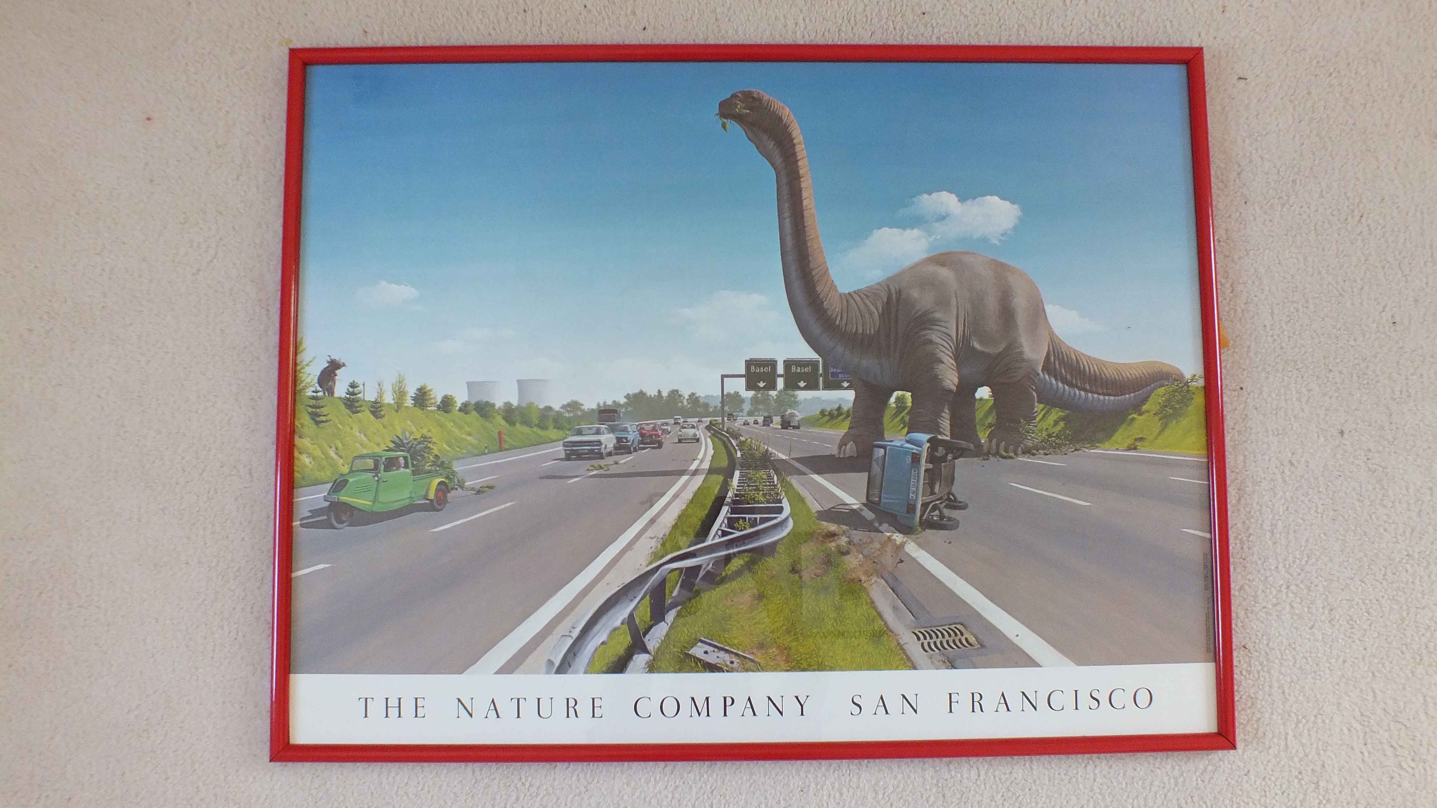 Nature Company Print