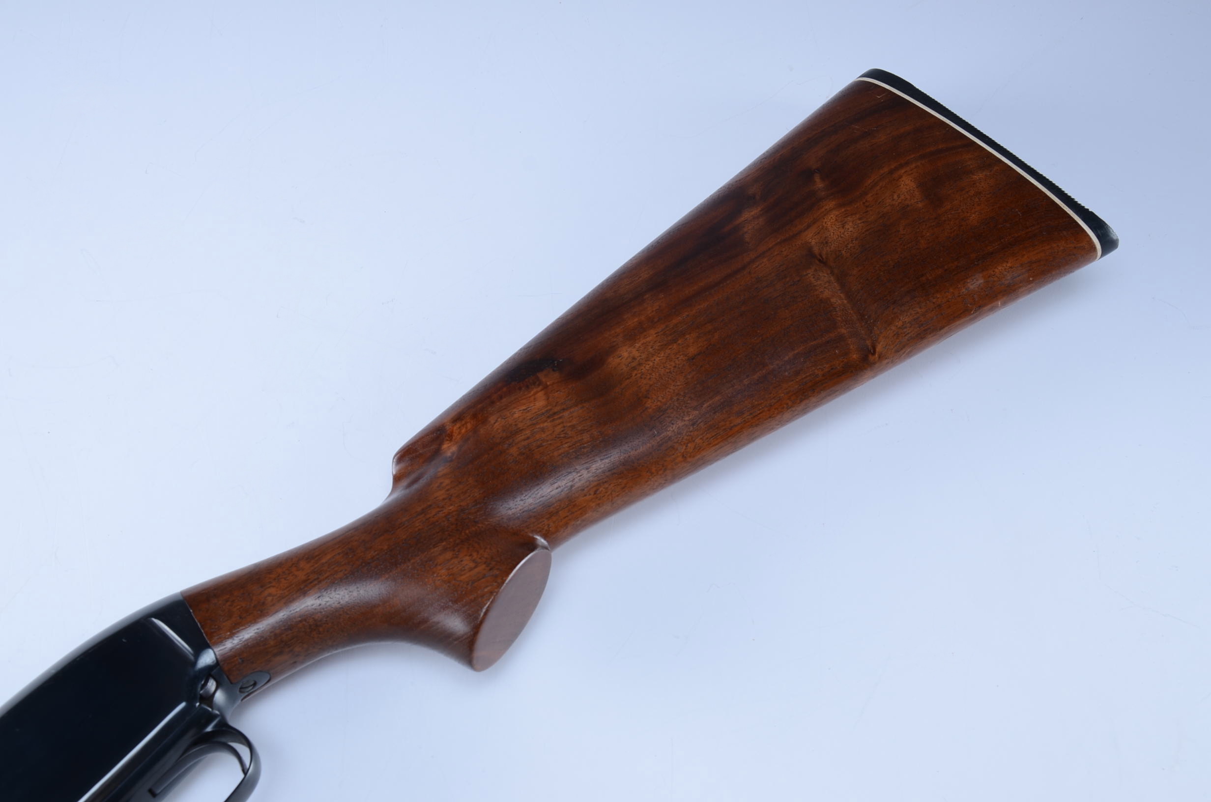 Winchester Model 12  - 12 Gauge Shotgun Takedown