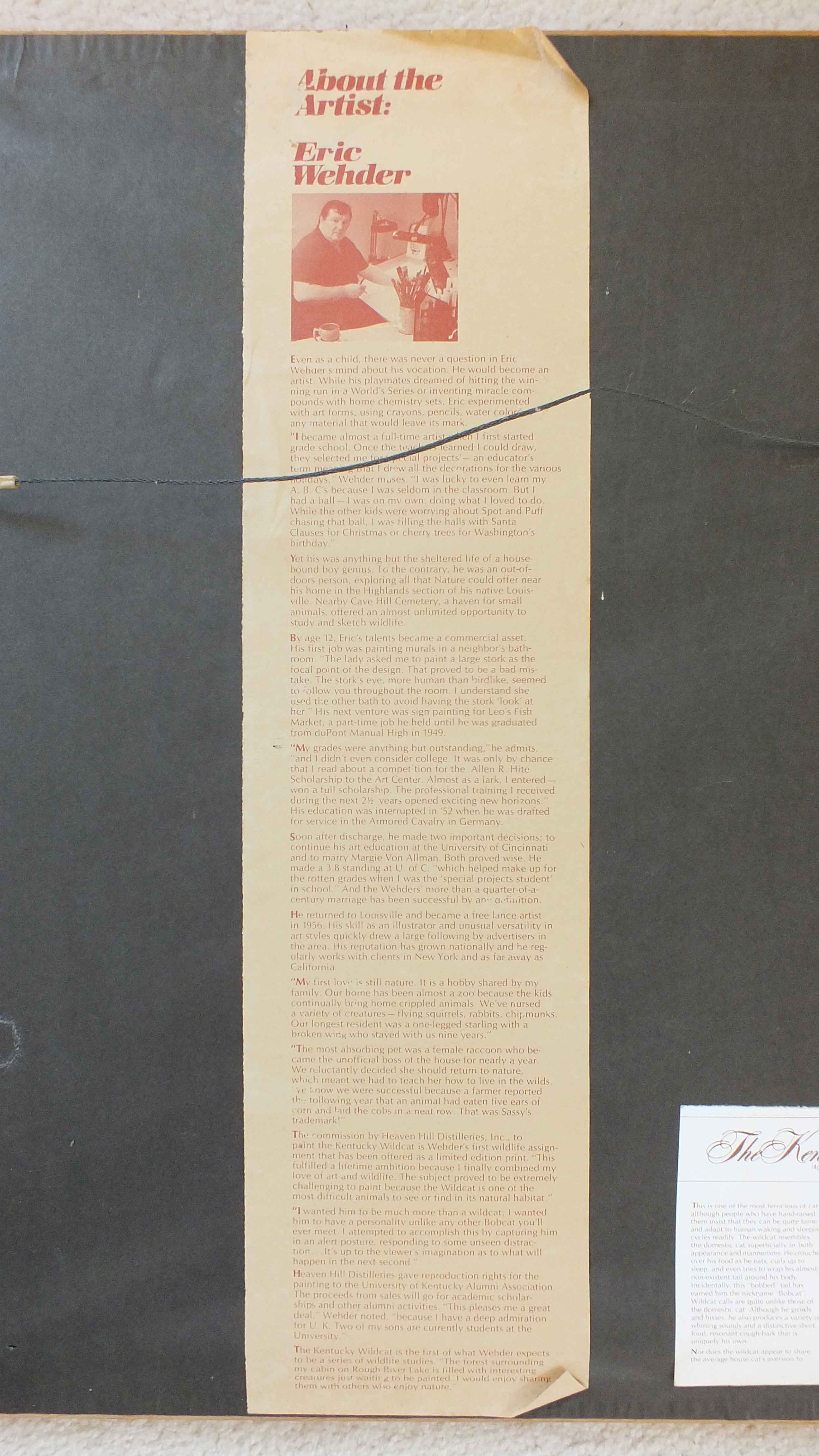 Eric Wehder Kentucky Wild Cat Print