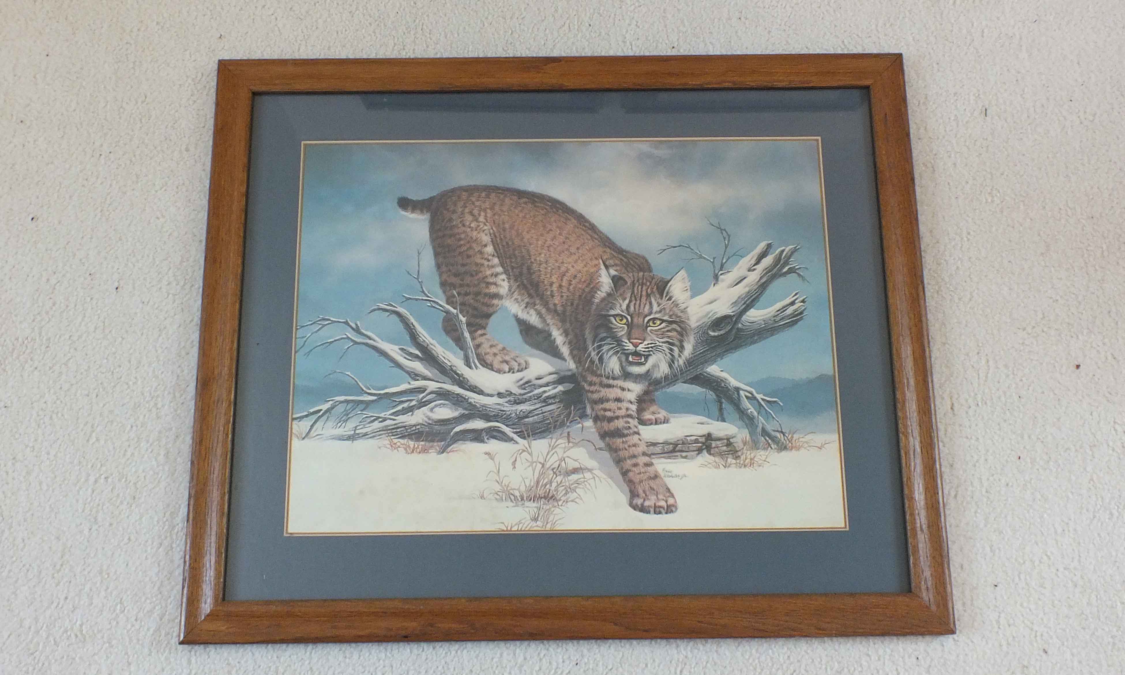 Eric Wehder Kentucky Wild Cat Print