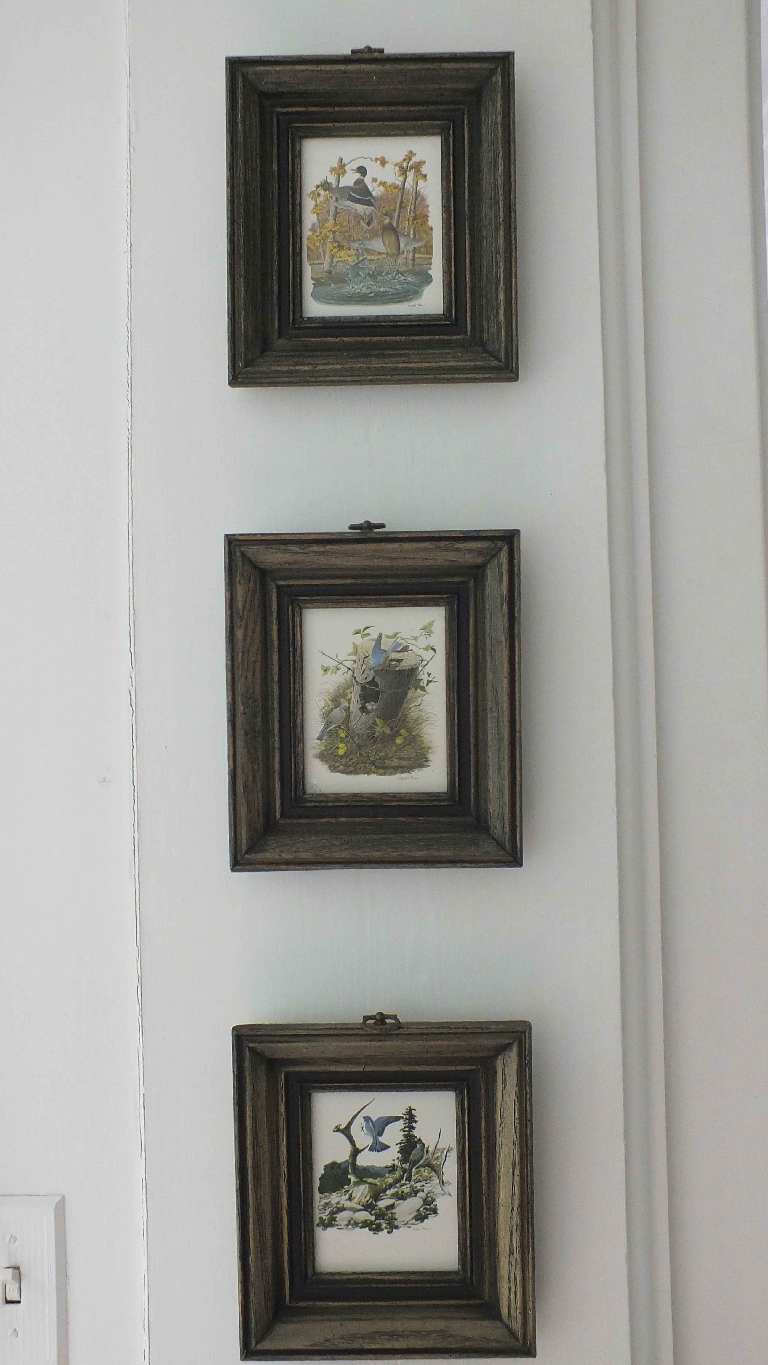 Four Richard Sloan Nature House Prints