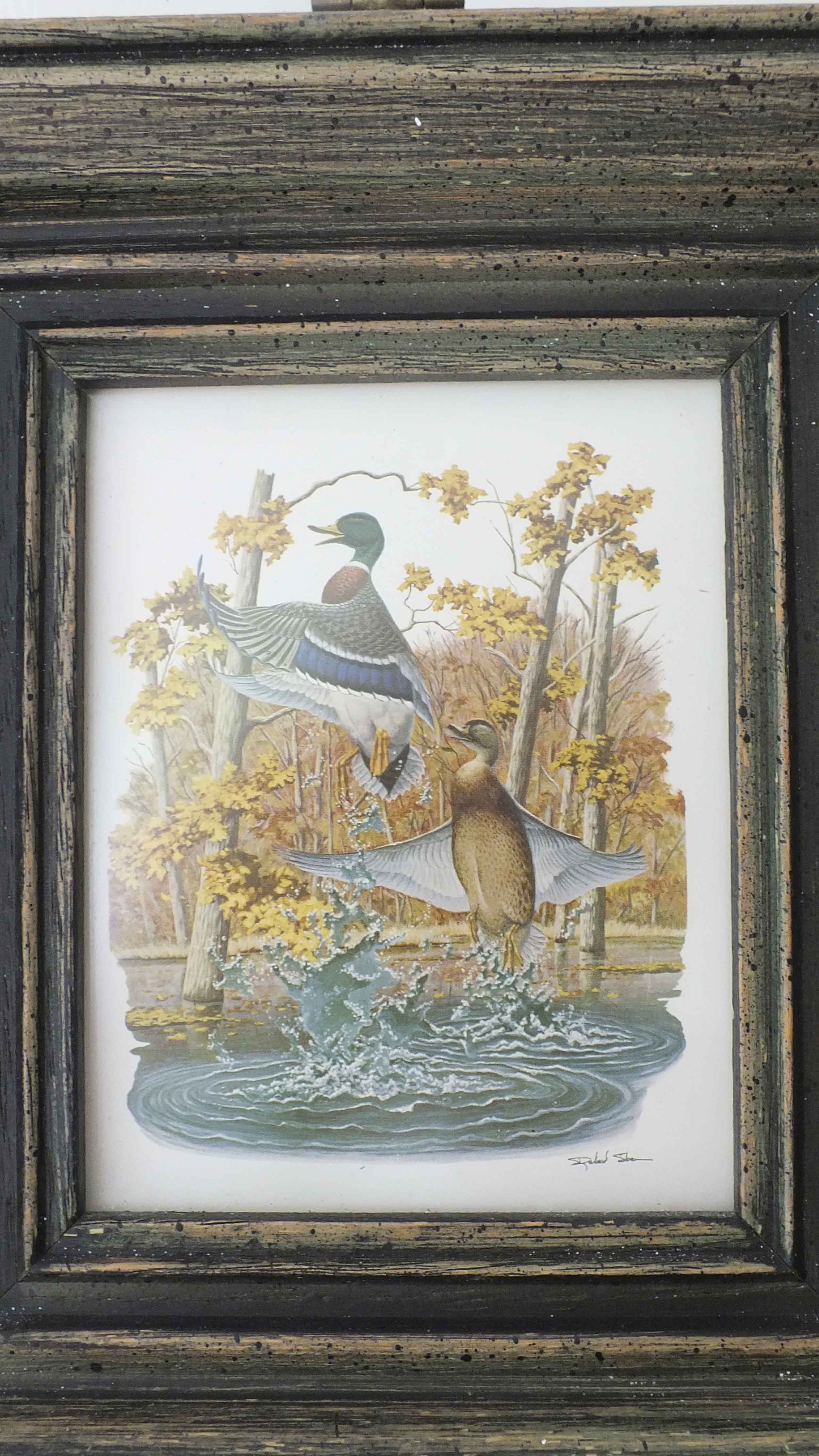 Four Richard Sloan Nature House Prints