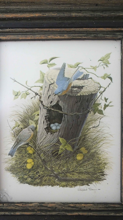 Four Richard Sloan Nature House Prints