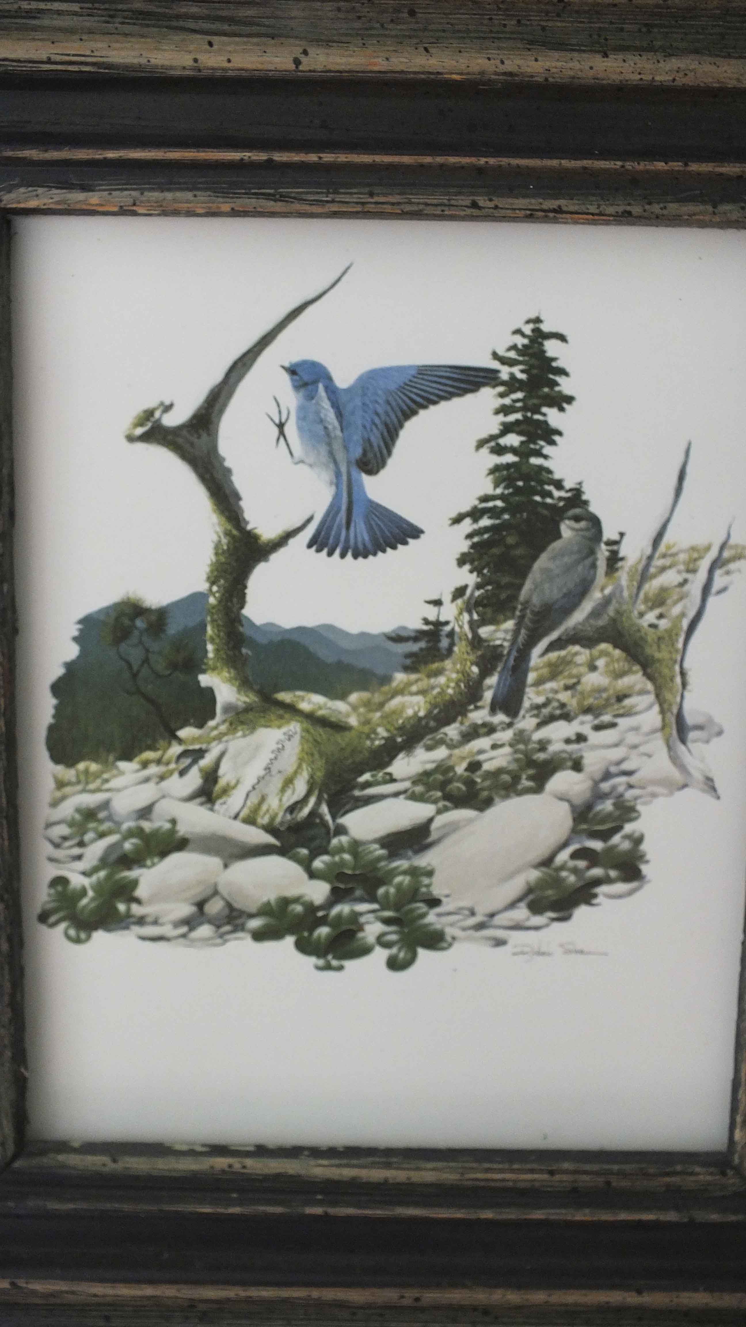 Four Richard Sloan Nature House Prints