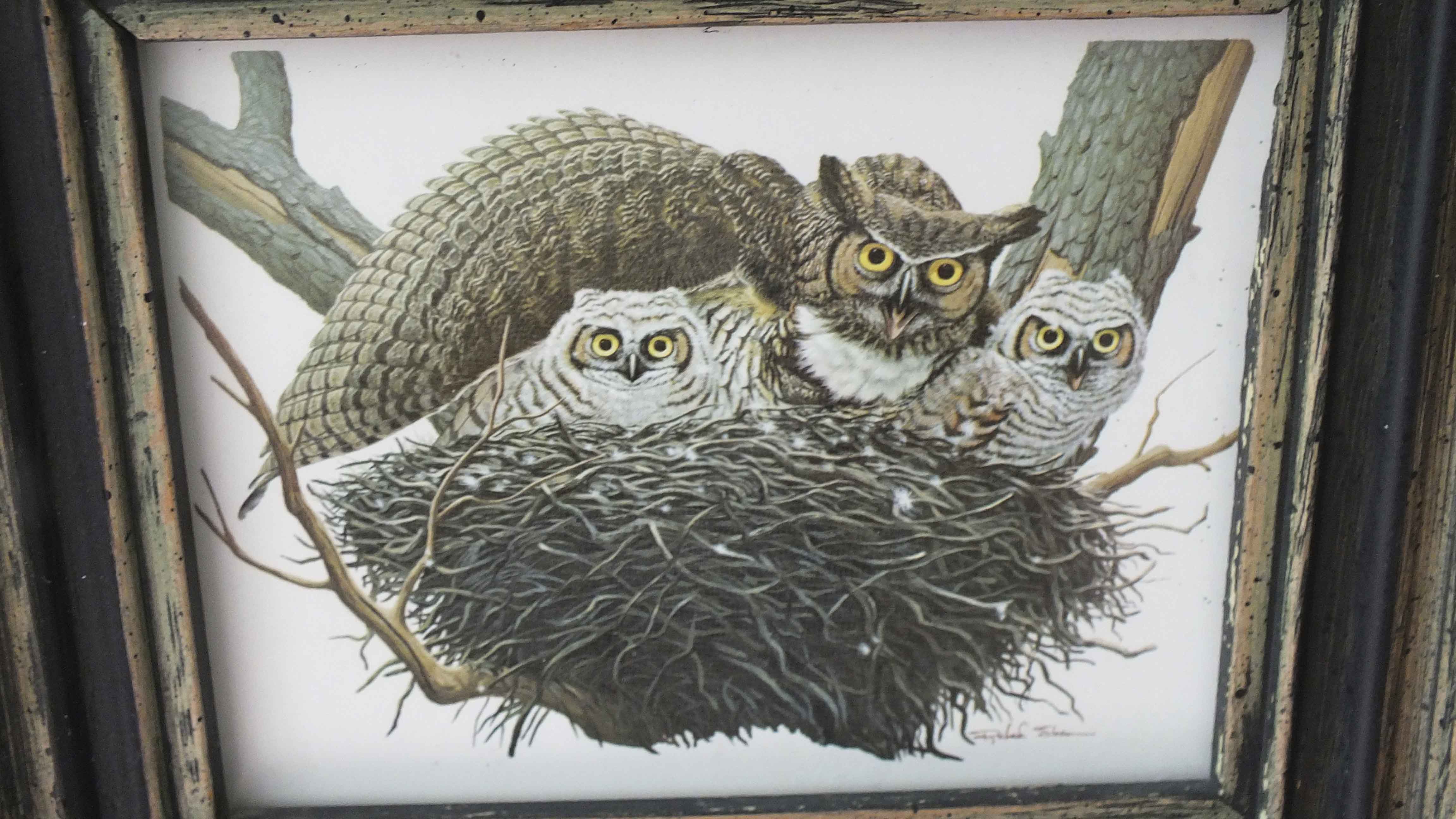 Four Richard Sloan Nature House Prints