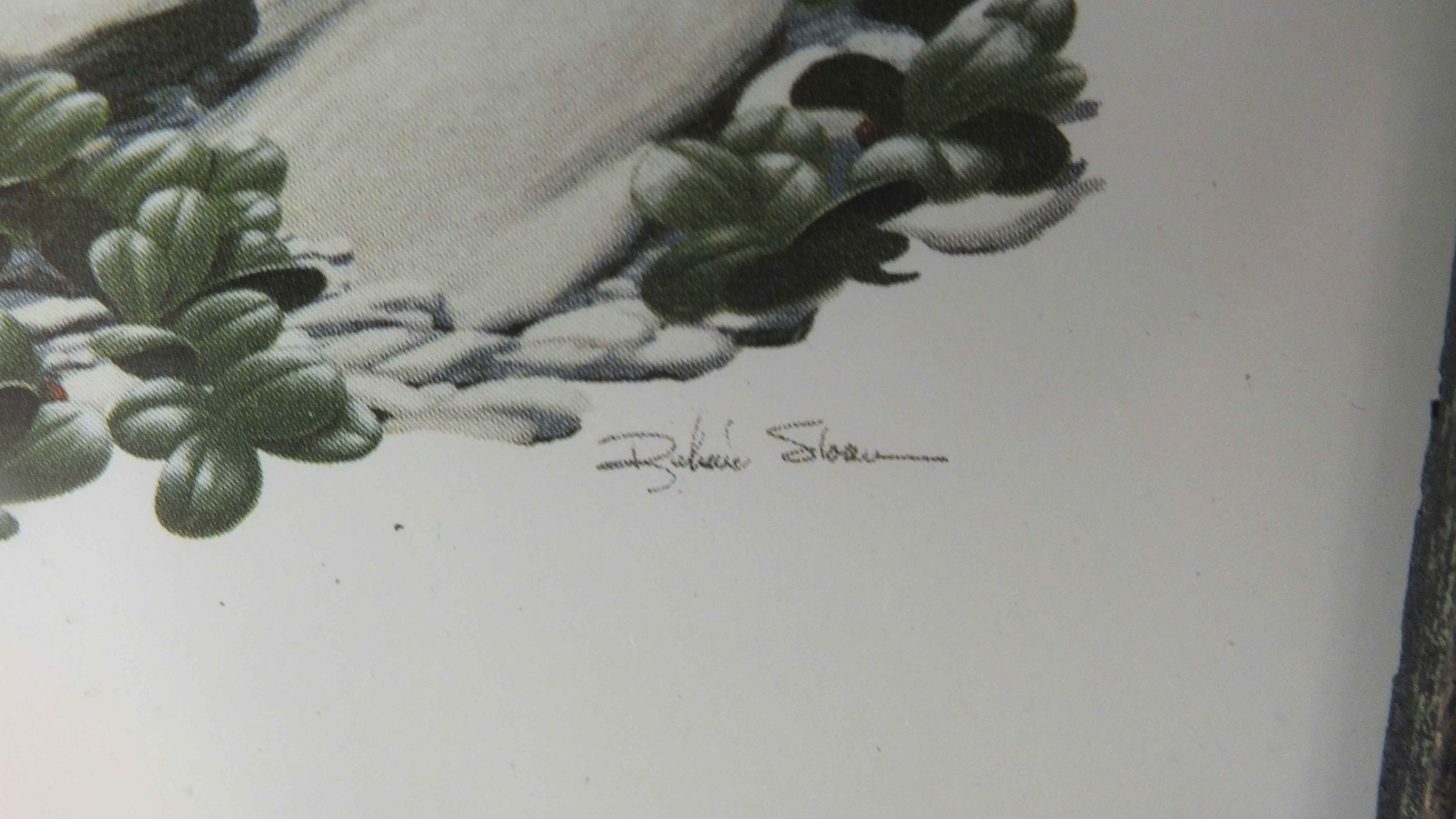 Four Richard Sloan Nature House Prints