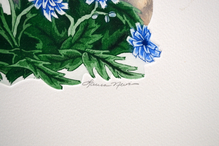 Collection of Animal Prints Including a Signed Lithograph by Carl Phelps