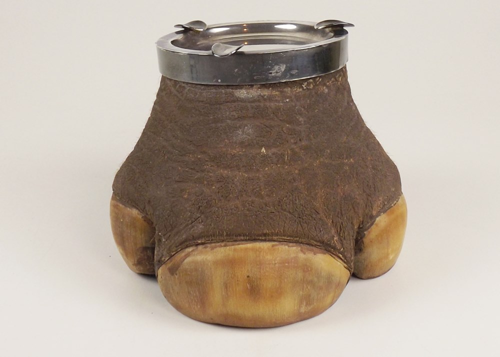 Rhinoceros Foot Ash Receptacle