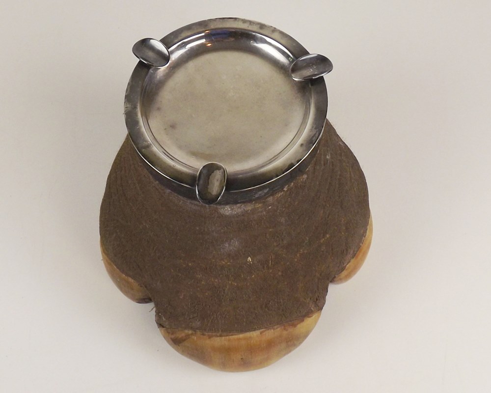 Rhinoceros Foot Ash Receptacle