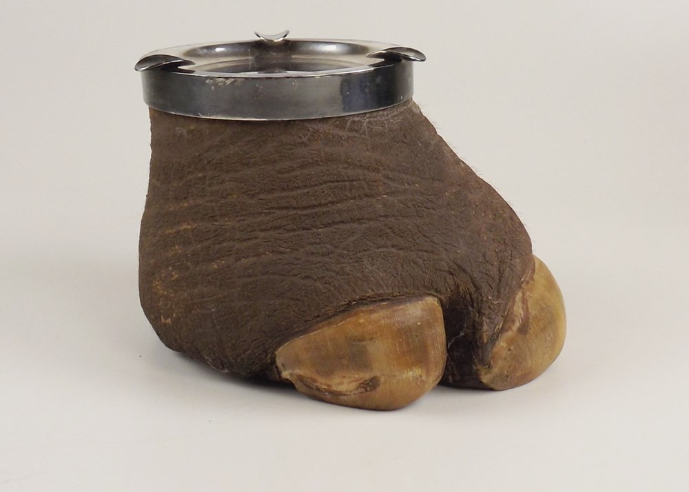 Rhinoceros Foot Ash Receptacle