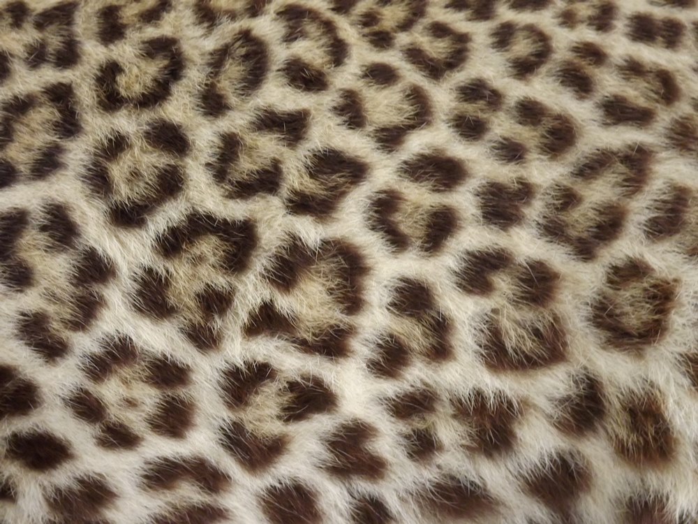 Leopard Standing Taxidermy Mount