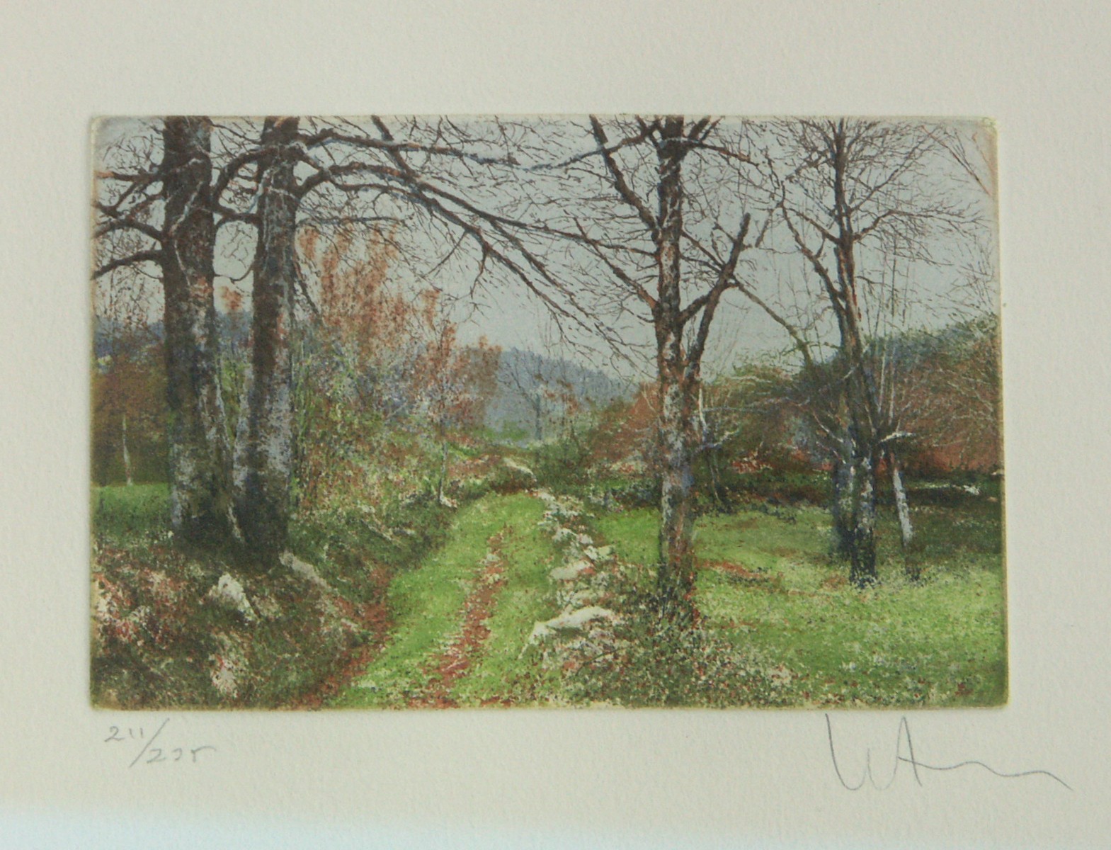 Color Aquatint by Venancio Arribas No. 2