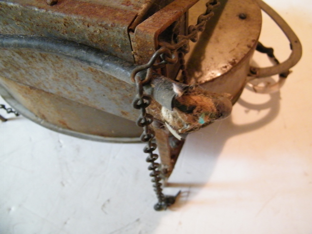 Carling's Black Label Beer Sign