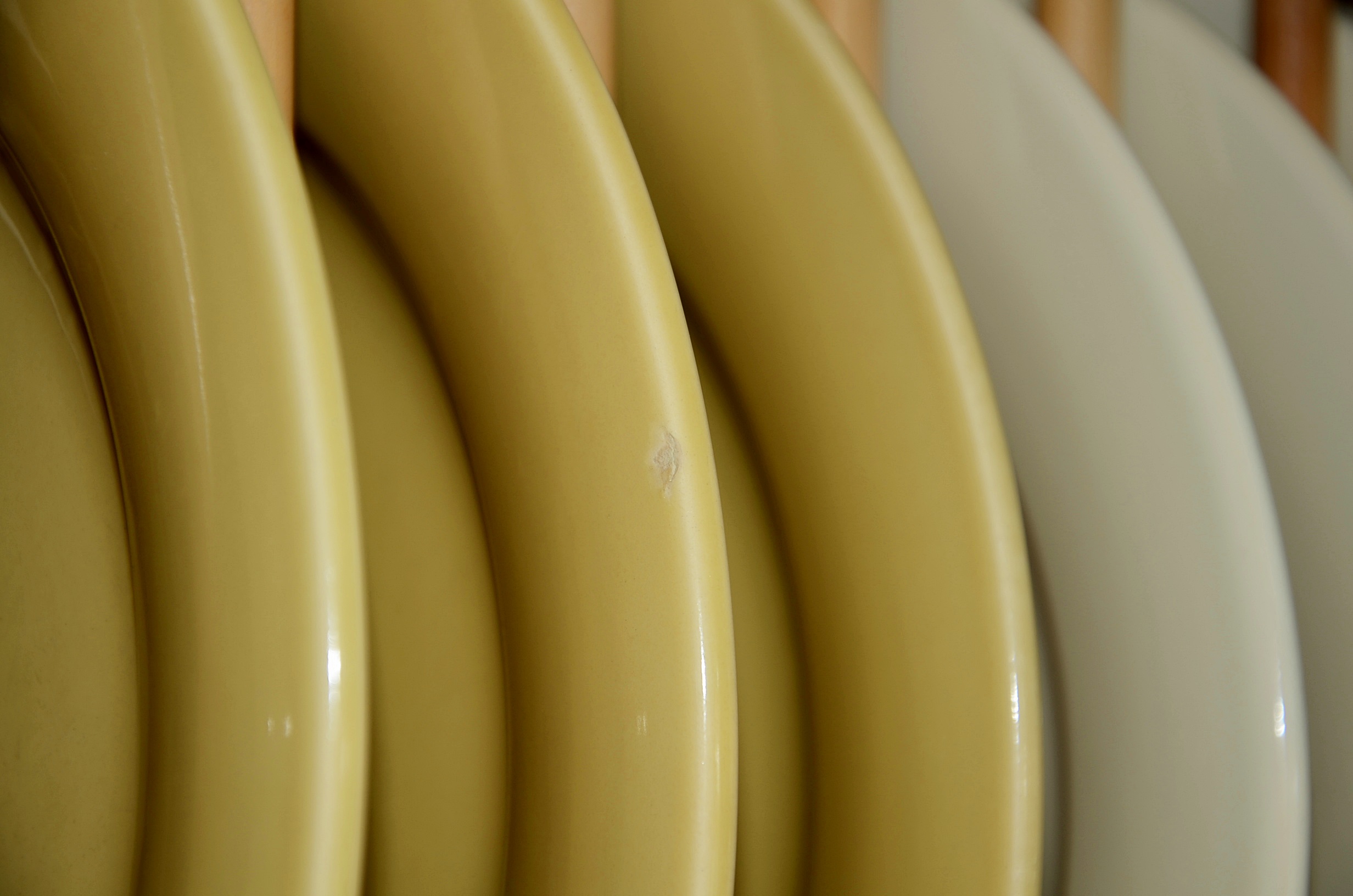 Williams Sonoma Belvedere dinnerware.