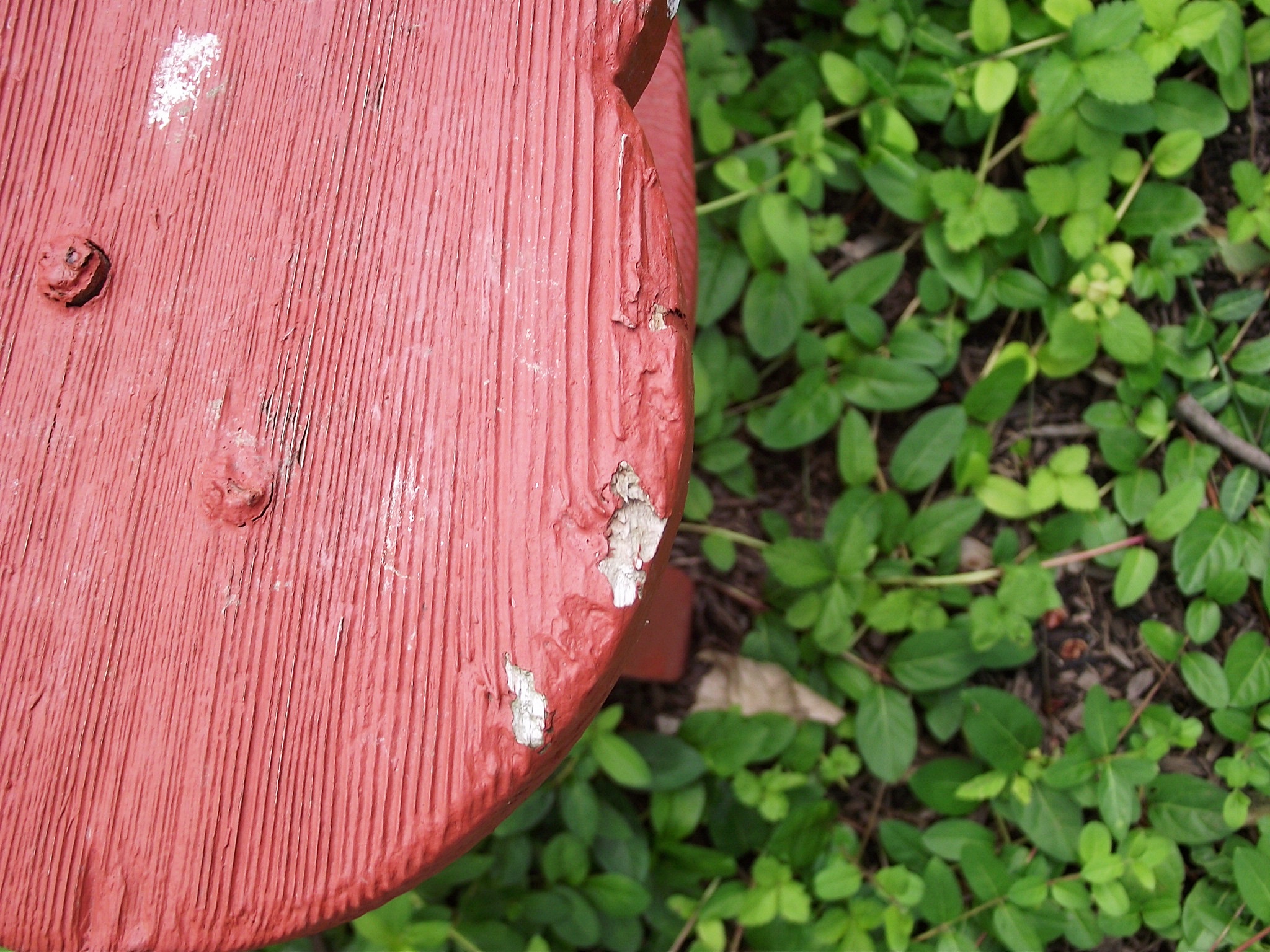 Vintage wooden garden bench with carved squirrel motif.