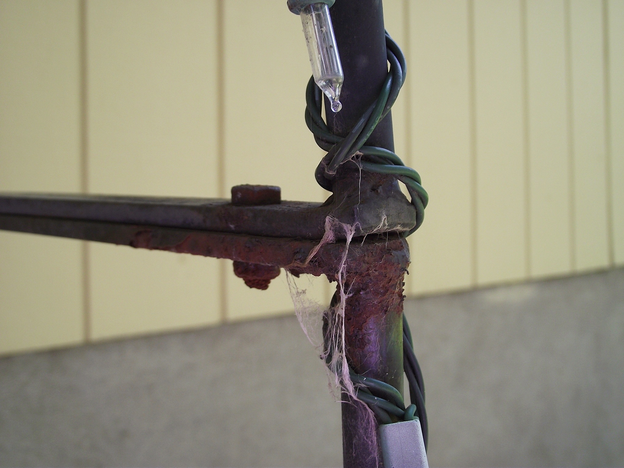 Smith & Hawkin garden arch.