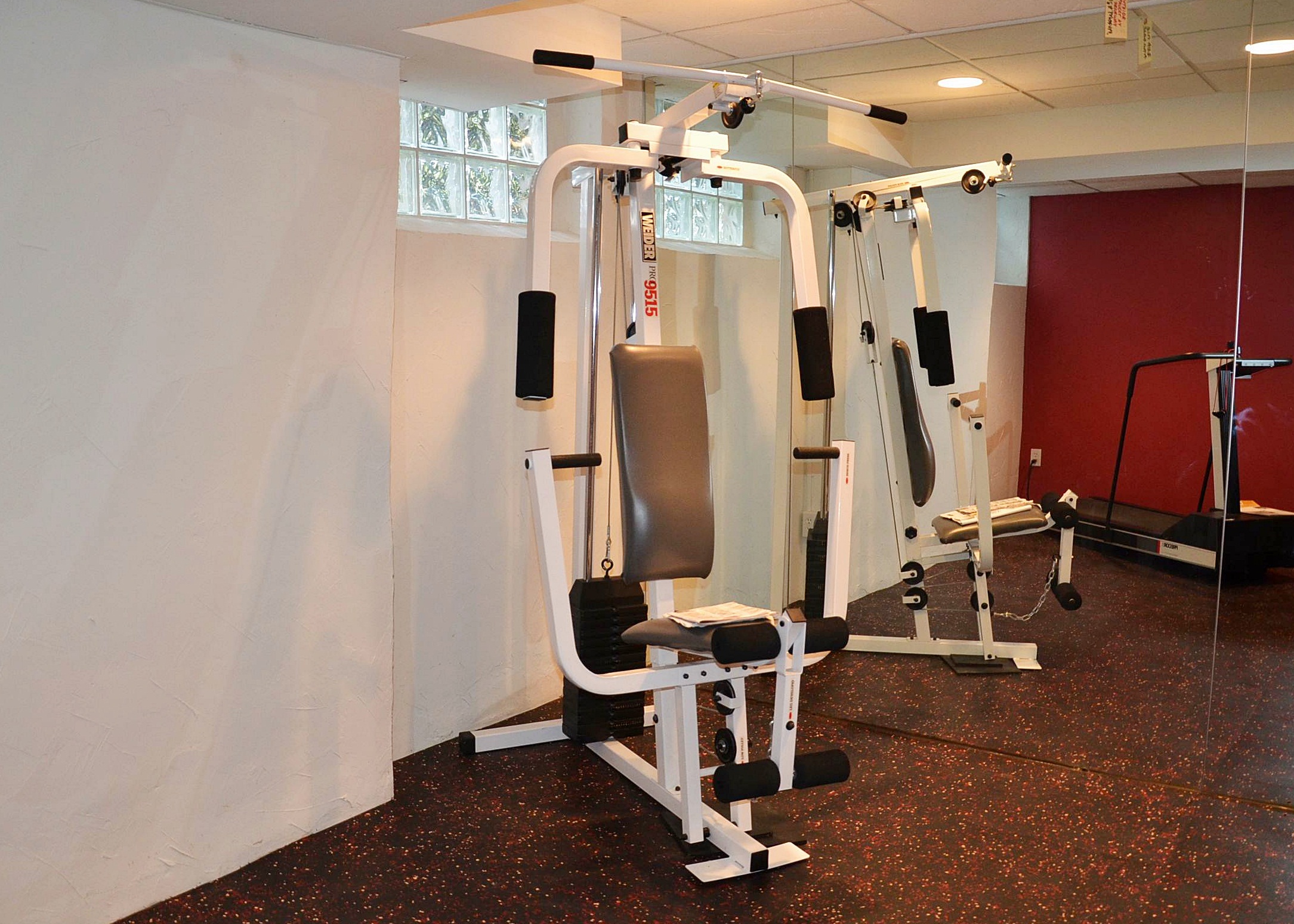 Weider Pro 9515 home gym system.