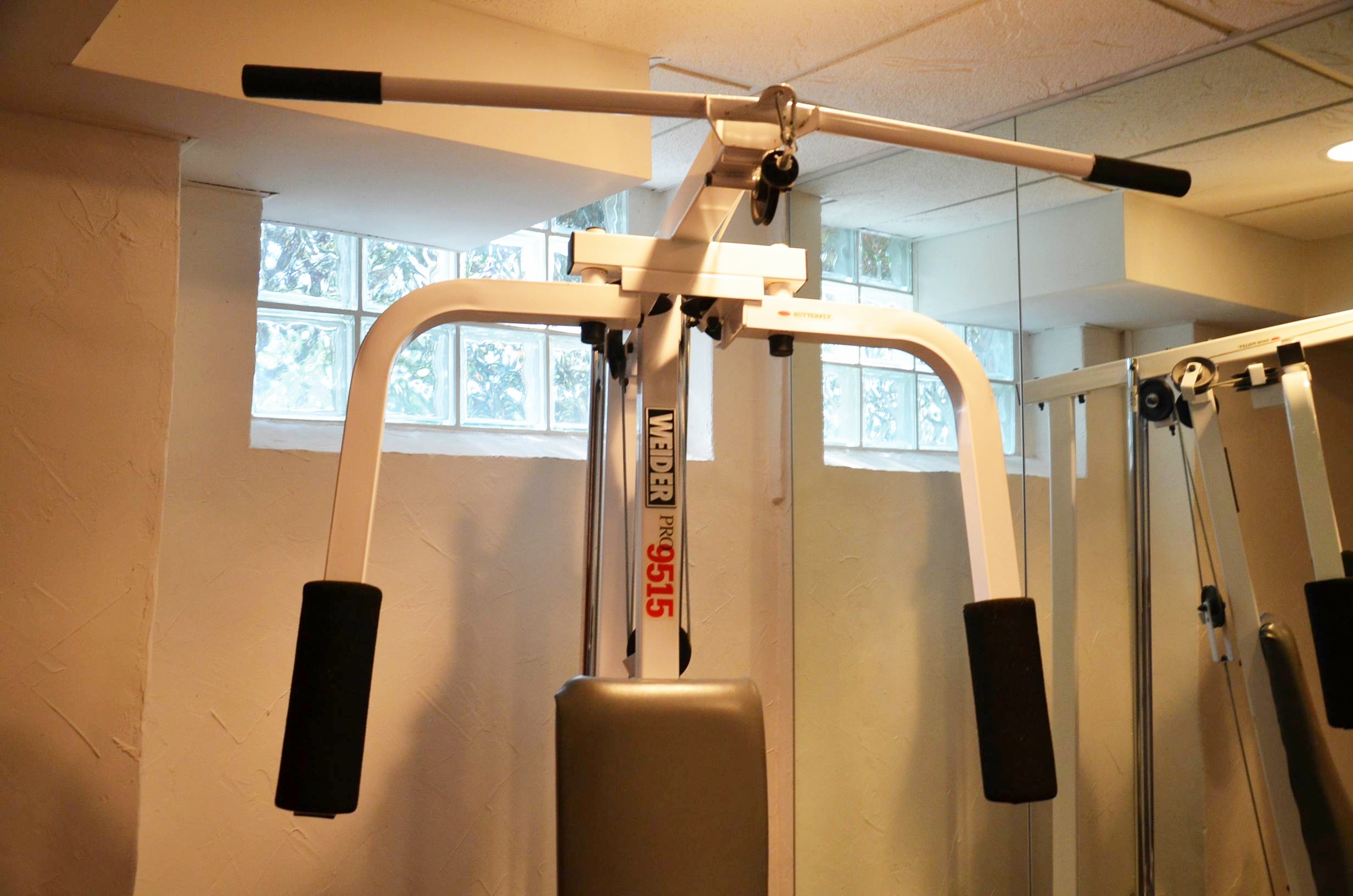 Weider Pro 9515 home gym system.