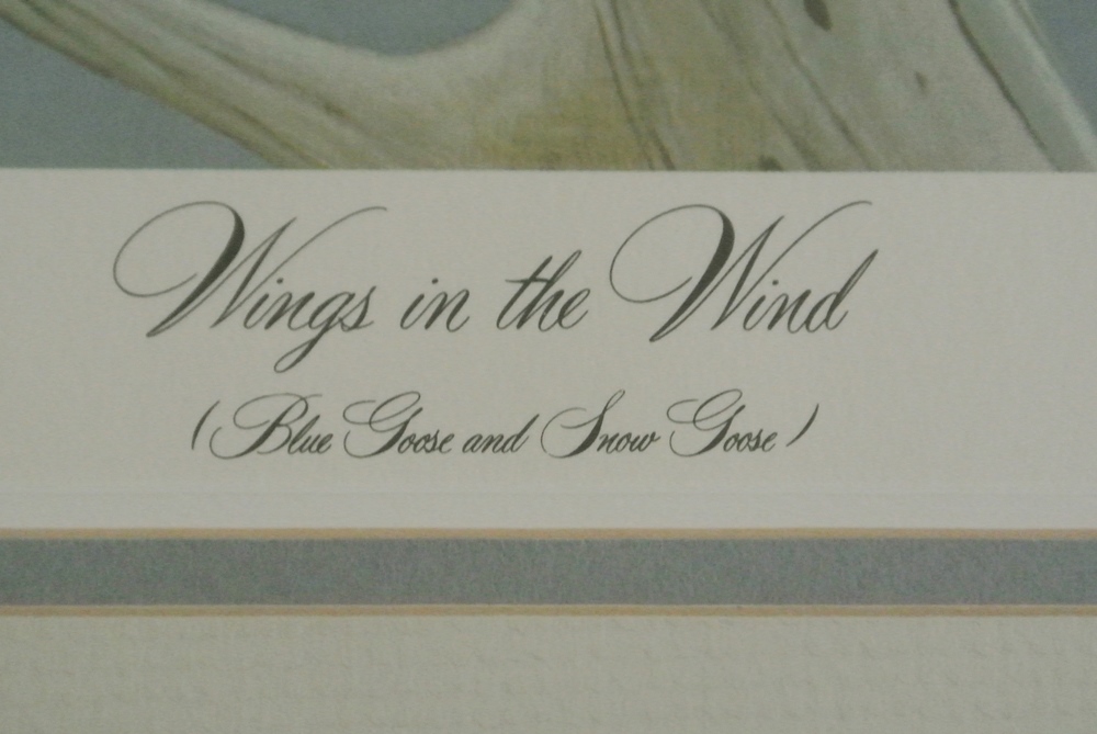 John Ruthven 'Wings in the Wind'