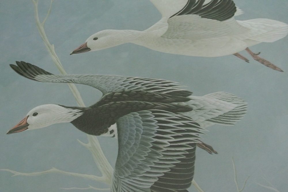 John Ruthven 'Wings in the Wind'