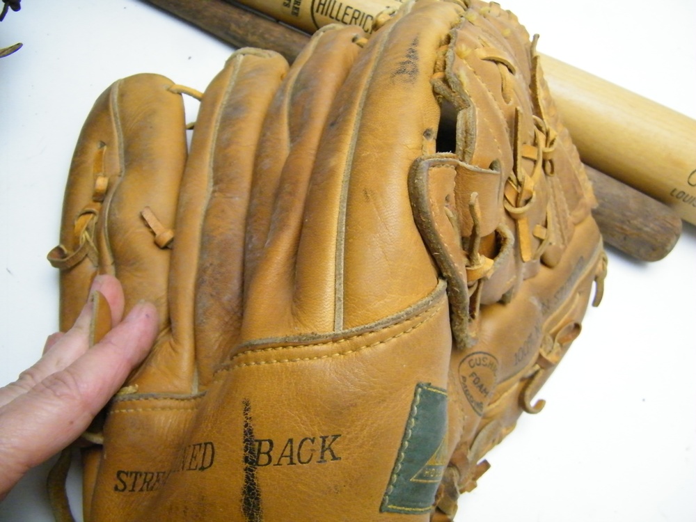 Baseball Mitts and Bats