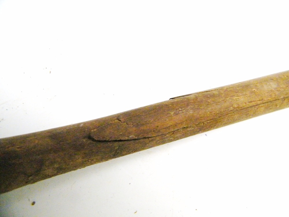 Baseball Mitts and Bats