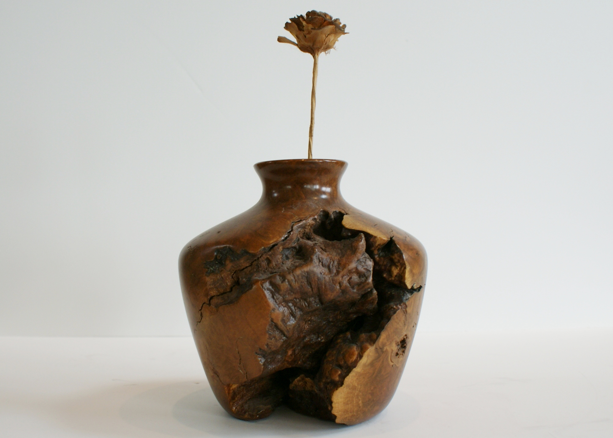 Burl Wood Vase