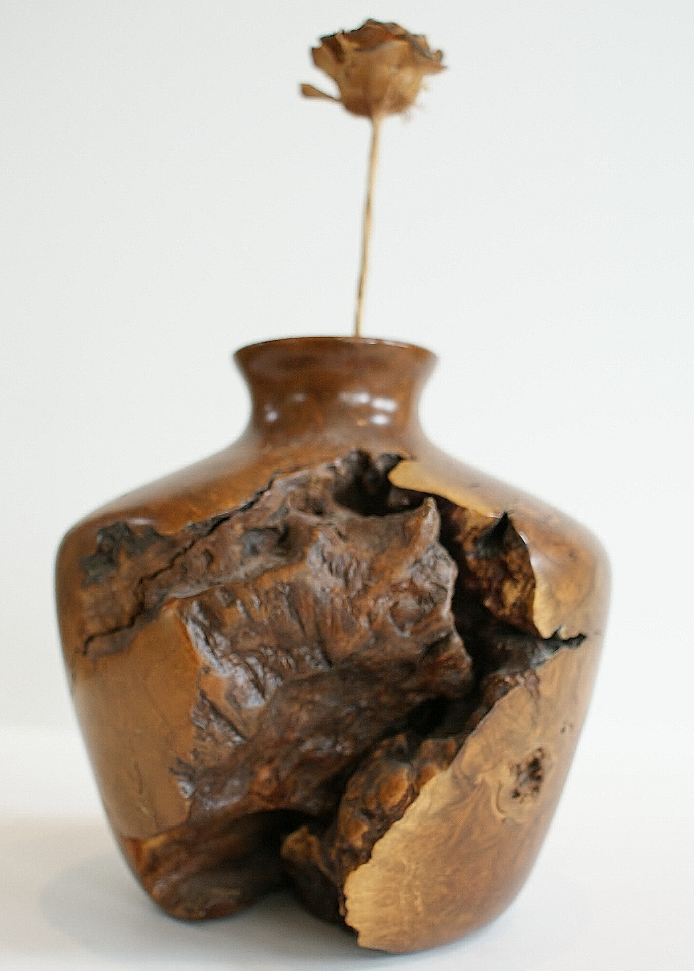 Burl Wood Vase