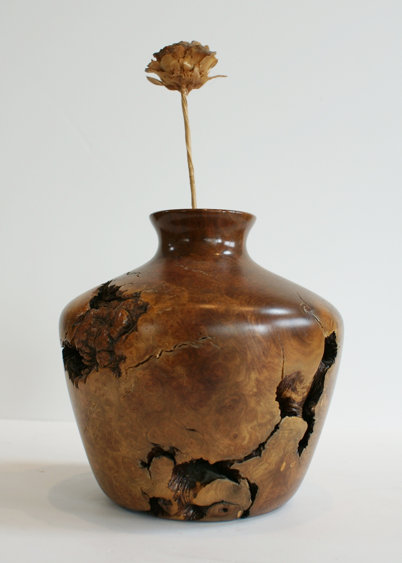 Burl Wood Vase