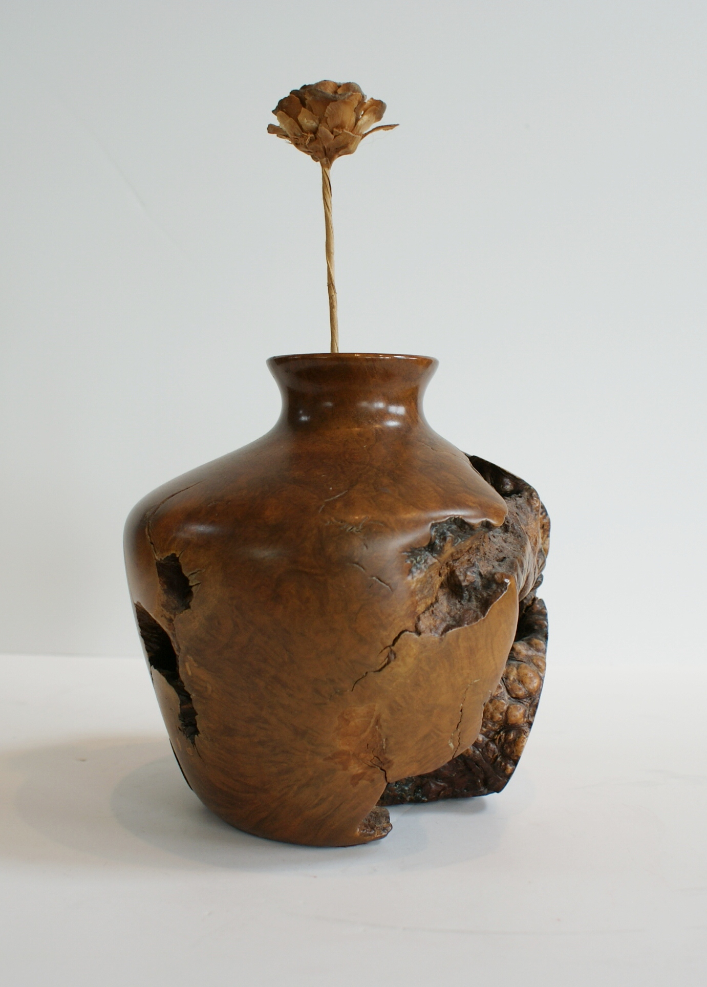 Burl Wood Vase
