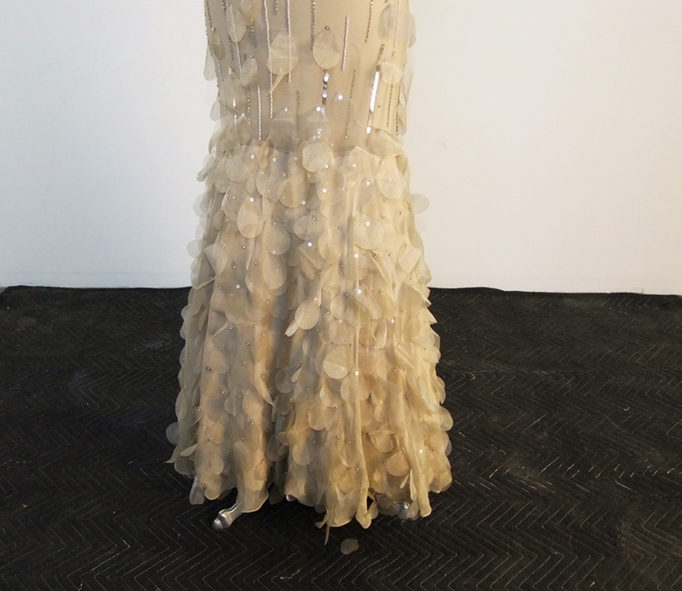 Champagne Hued Evening Gown Embellished With Sequins